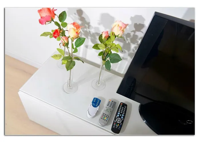 White House Medano * El Médano